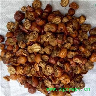 川楝子 炒川楝子 好统货 产地 四川省 产地直销 重在质量图2