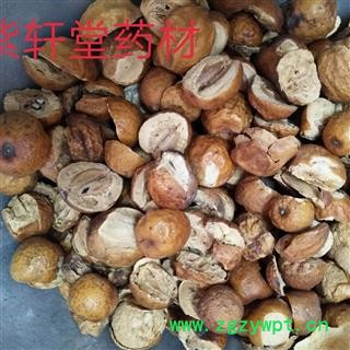 川楝子精品选装 新货 产地直销图2