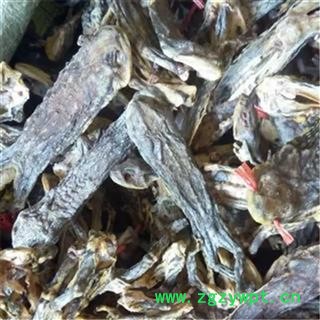 芝春堂 干蟾 蟾衣 干蟾皮干蟾蜍 蟾蜍干 癞蛤蟆干 蟾皮 干蟾个图3