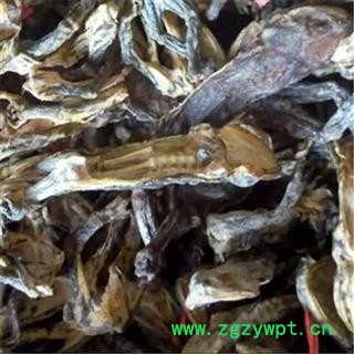 芝春堂 干蟾 蟾衣 干蟾皮干蟾蜍 蟾蜍干 癞蛤蟆干 蟾皮 干蟾个图4