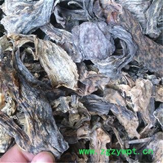 芝春堂 干蟾 蟾衣 干蟾皮干蟾蜍 蟾蜍干 癞蛤蟆干 蟾皮 干蟾个图2