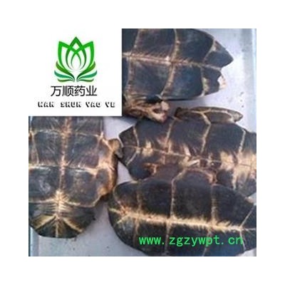 旱龟板净货选货 质量好 价格低 规格齐全  产地 湖北省