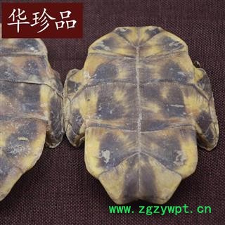 华珍品中药材超市 龟壳 02 家养龟板 选 产地 安徽省图3