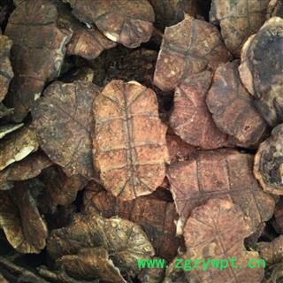 龟板 旱龟板 炒龟板 炙龟板 产地 广东省图2