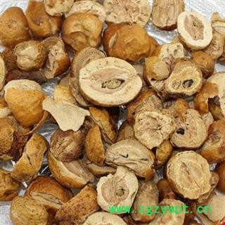 【录建药业】川楝子 统 产地 四川省图4