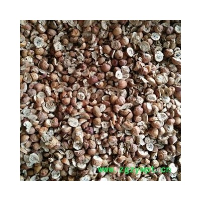 川楝子统优质无硫货 产地四川省广安市邻水县