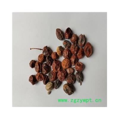 苦楝子 统 产地 河北省保定市