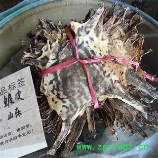 吉康药业蟾蜍皮蟾皮干蟾蜍皮癞蛤蟆皮纯皮14-17cm20张图2