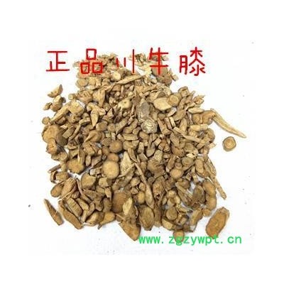 牛膝批发 川牛膝 统货 产地四川 1000g散装质量保证 规格齐全
