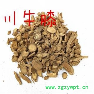 牛膝批发 川牛膝 统货 产地四川 1000g散装质量保证 规格齐全图2