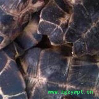 龟板 旱龟板 掉价了！！独特花纹！ 燕尾岔！产地直销  产地 湖南省图2