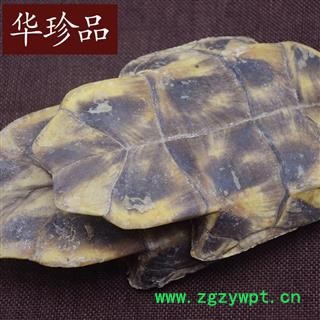 华珍品中药材超市 龟壳 04 旱龟壳 统 产地 安徽省图3