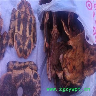 龟板 选 批发零售各种规格中药 花茶 产地 广东省佛山市南海区图3