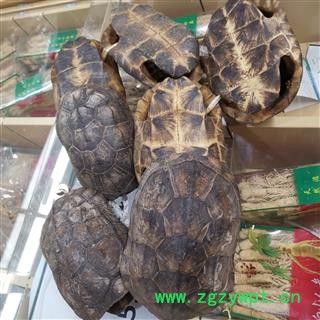 圣草康园龟甲 龟壳 完整龟甲 摆件产地 广东图3