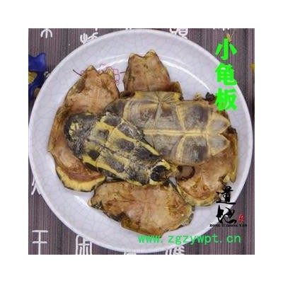 龟板 小龟板 生的 产地 四川省