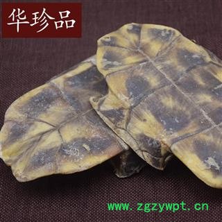 龟板 04 湖北龟板 统 产地 广东省佛山市南海区图3