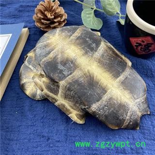 龟甲 旱龟板选货 产地 山东省图2