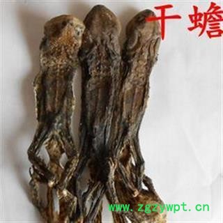 小丽百草行干蟾皮 干蟾 带骨干蟾个图2