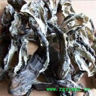 圣草康园干蟾 干蟾皮干蟾蜍 蟾蜍干 癞蛤蟆干  干蟾个图2