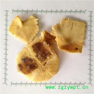 新辉药业中药材龟甲 龟壳  旱龟板图2