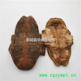 龟板 制龟板 产地 湖北省 制旱龟板图3