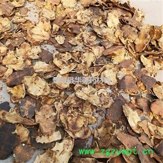 龟板 制龟板 产地 湖北省 制旱龟板图4