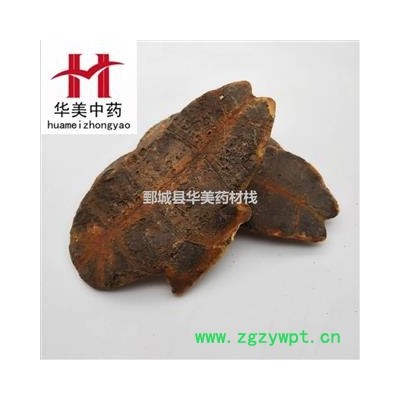 龟板 制龟板 产地 湖北省 制旱龟板