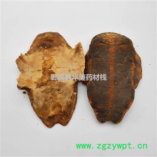 龟板 制龟板 产地 湖北省 制旱龟板图2