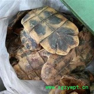 龟板 水龟板选货 产地 广东 华美中药 产地直销 重在品质图3