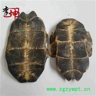 【99包邮】旱龟板 统个（500g） 浙江产  龟甲【良心经营 绝不掺假】图3