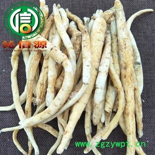 【满包邮】川明参无硫条子统货散装四川产地直供南沙参沁信源中药批发图4