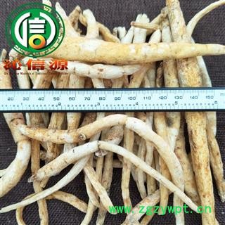 【满包邮】川明参无硫条子统货散装四川产地直供南沙参沁信源中药批发图2