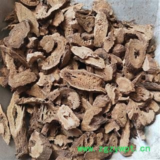 川木香 川木香中选片无硫磺新货发货时过筛 产地 四川省图4