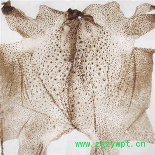 蟾皮 统货 产地 黑龙江省图2