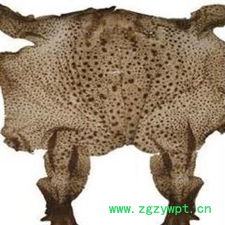 小丽百草行蟾皮 蟾衣  整张 个大图2