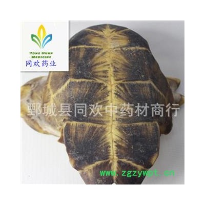 【正品旱龟板】@【同欢药材】中药材批发供应  规格齐全 量大从优 产地 湖北省