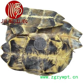 旱龟板个子包检验生货散装1公斤起批产地直供龟甲川蜀山农中药材批发图3