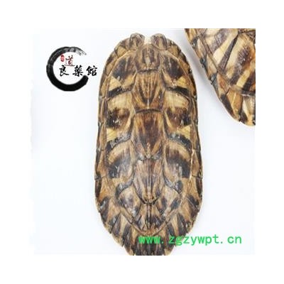 龟甲水龟板选装 产地湖北 药典标准 地道良药馆1000克