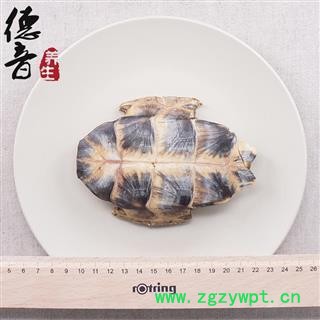 【满包邮】龟板 统货 整片 产地 四川省 买好货 选德音 正品溯源 规范标准 三证齐全 全品类药材一站购齐图2