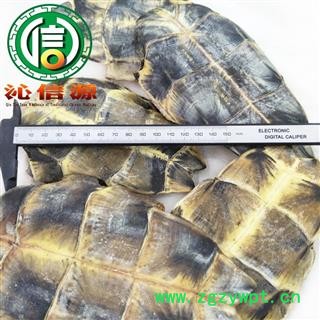 【满包邮】正品旱龟板整块个子散装湖北产地直供生龟甲沁信源中药批发图2
