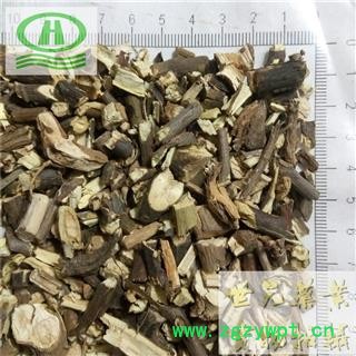 世元药业 臭牡丹根 正品 别称 臭枫根图2