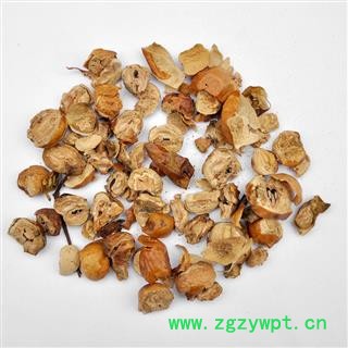 【满298元包邮】川楝子 川楝子统片 产地 四川省 一公斤一袋图2