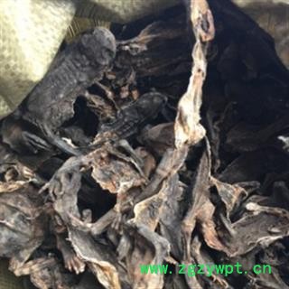 新辉药业完整蟾皮  干蟾皮图2