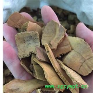 龟甲 统货 产地 山东省图2