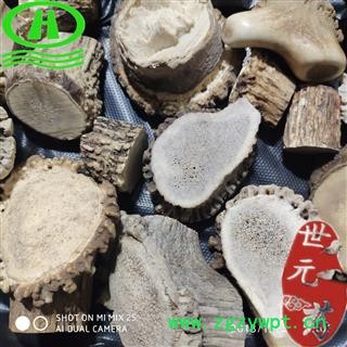 世元药业 鹿角帽 锯断 鹿角托盘 鹿角盘 鹿托图2