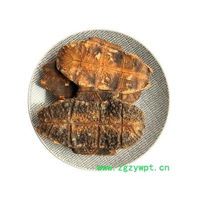 龟甲 龟板 龟板 龟板 产地 山东省