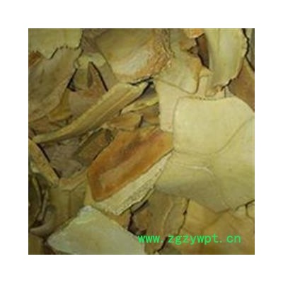 炙龟壳 统货 产地 海南省