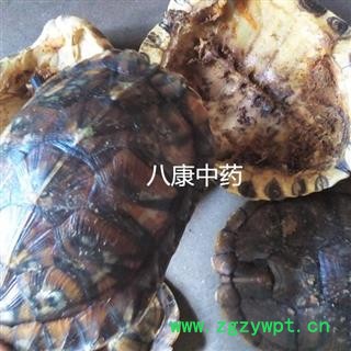 龟甲 巴西 龟壳  统图3