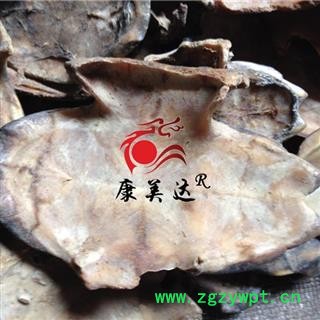 龟甲 旱龟板选货  正品龟板草龟板  包含量 产地 湖北省宜昌市兴山县图4