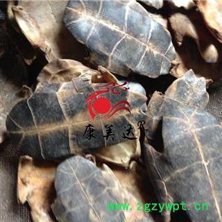 龟甲 旱龟板选货  正品龟板草龟板  包含量 产地 湖北省宜昌市兴山县图3